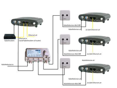 tne7laa_0-1649614016940.png