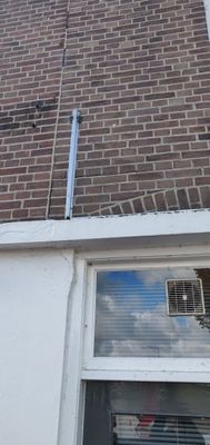 IMG_20221008_114346.jpg
