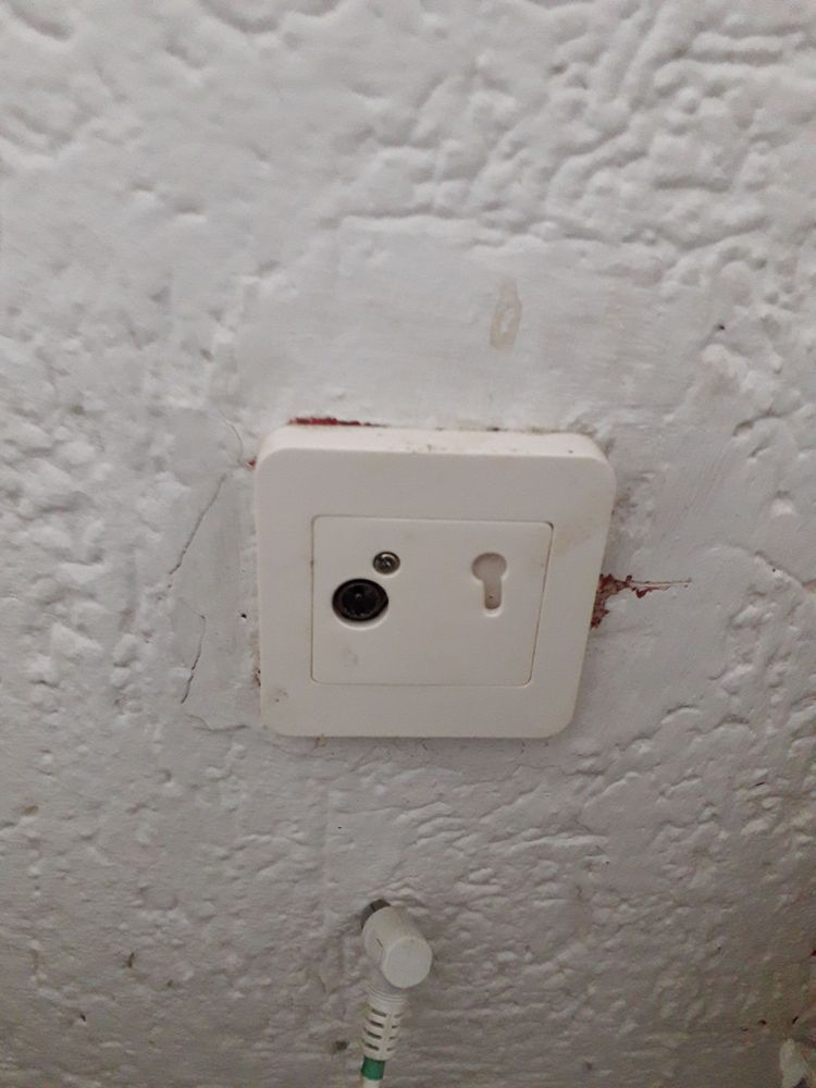 20221212_152145.jpg