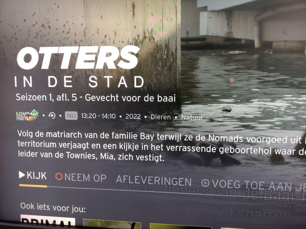 Bert_0-1675688908479.jpeg