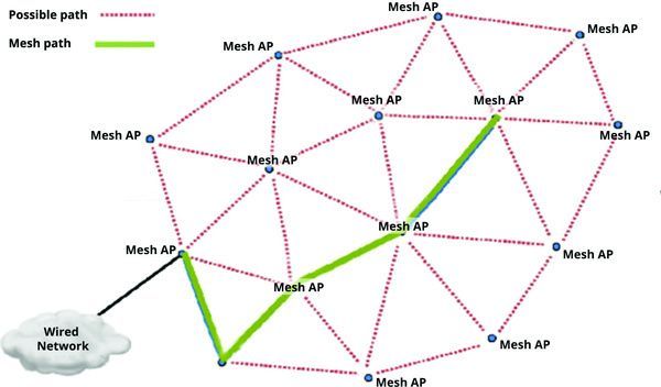 022811_mesh-path2.jpg
