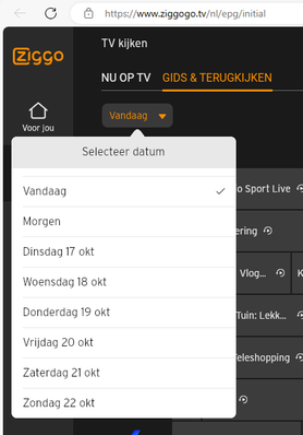 Gids en terug kijken..png