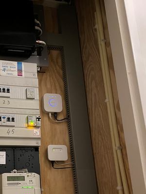 IMG_2662 resized.png