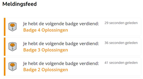 Voorbeeld Meldingsfeed