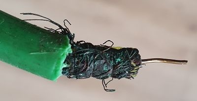 20191023_142835 - Copy.jpg