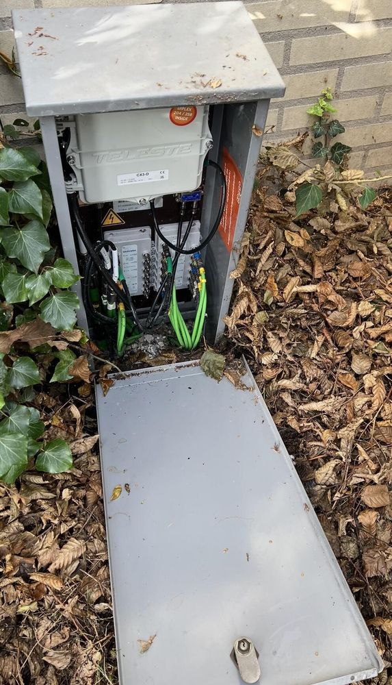 Iroko bij huisnummer 277.jpg